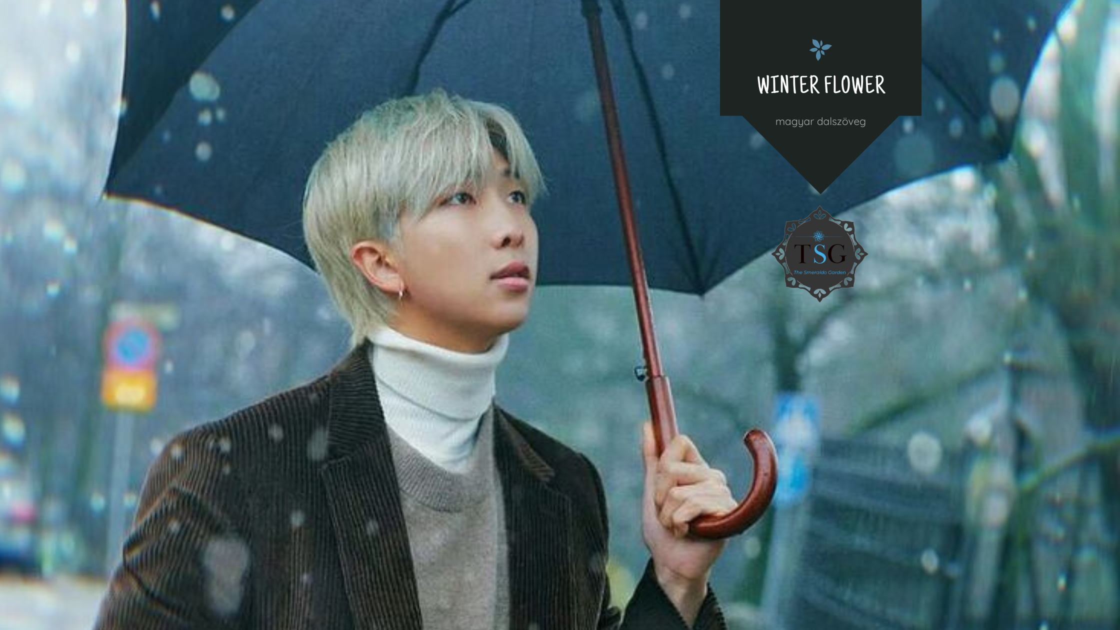 YOUNHA – Winter Flower (雪中梅) ft. RM dalszöveg magyarul, magyarázattal