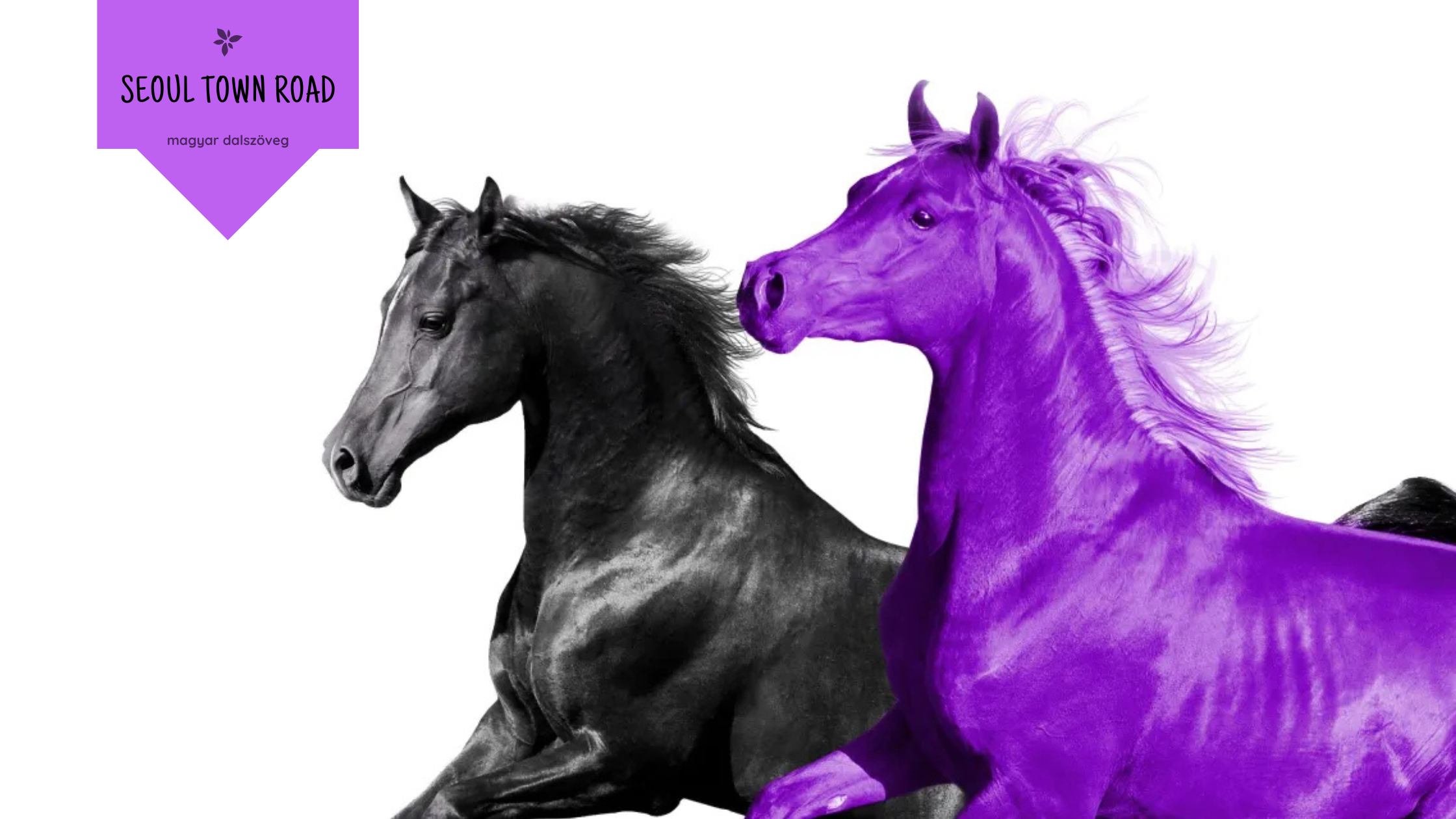 Lil Nas X – Old Town Road (feat. RM of BTS) [Seoul Town Road Remix]